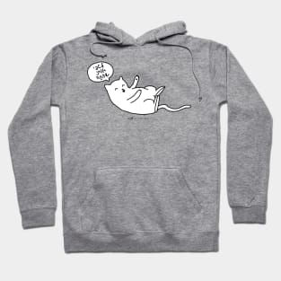 Cuddle Me Cat Hebrew Hoodie